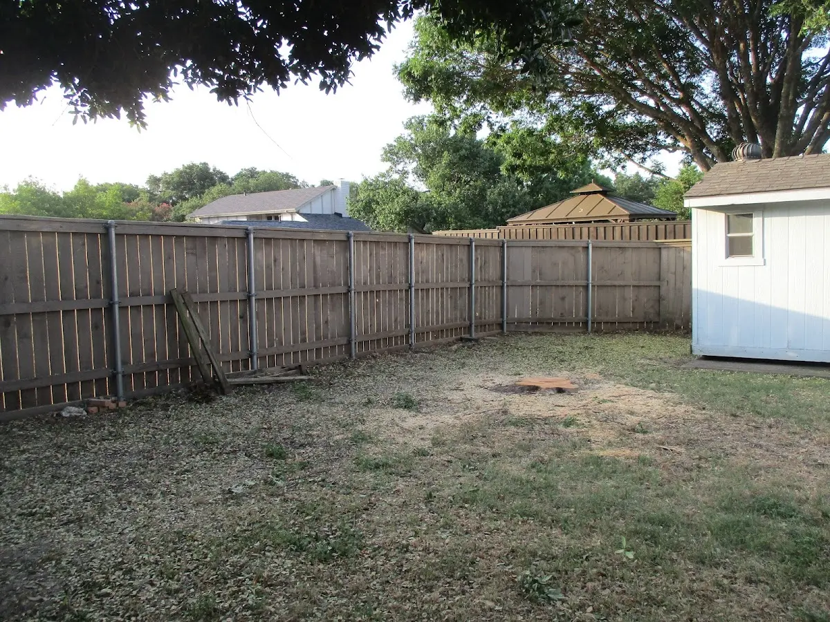 Cleared yard after professional tree removal in New Holland